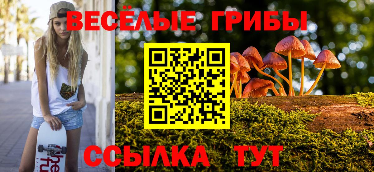 Псилоцибиновые грибы мицелий Зеленодольск