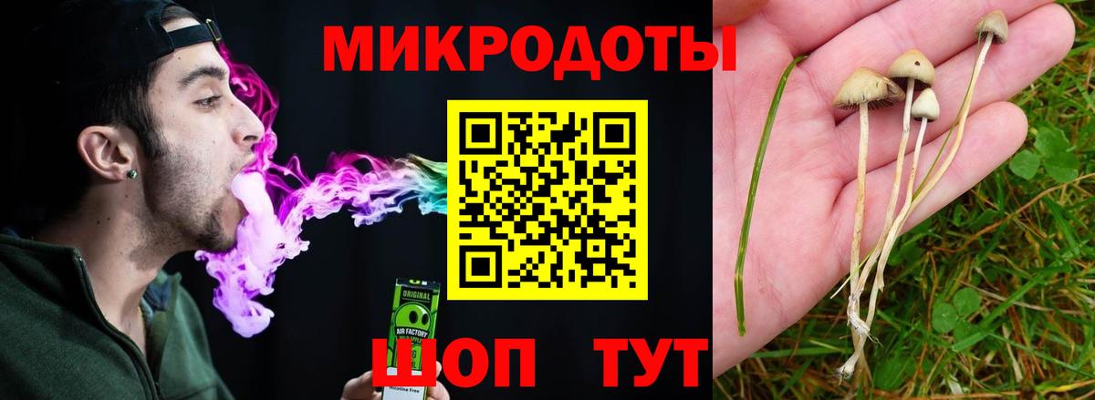 Псилоцибиновые грибы Psilocybe  Вход с VPN  Зеленодольск 